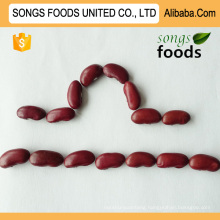 Agricultural Crops Dark Red Kidney Beans